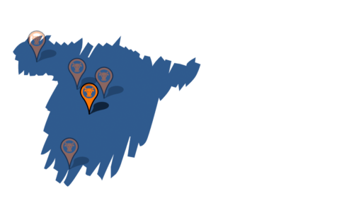 hamburguesa-gourmet-burger-queen-sierra-guadarrama