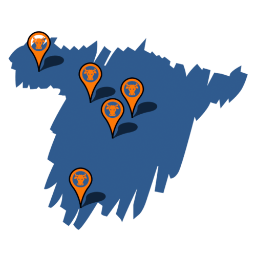 queen-burger-gourmet-madrid-carne-sierra-guadarrama