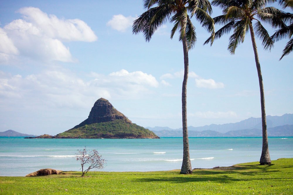 hamburguesa-aloha-burger-queen-burger-gourmet-madrid-hawaii